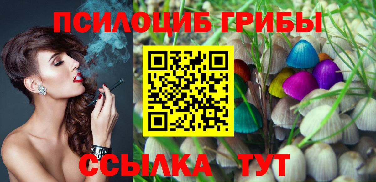 Славянск-на-Кубани  где продают   Вход с VPN  Псилоцибиновые грибы MAGIC MUSHROOMS 